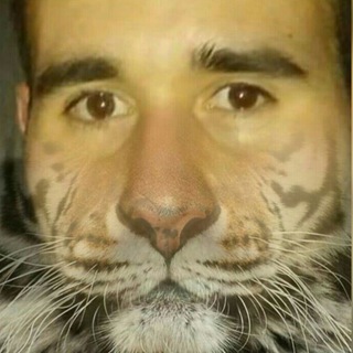 Marchio alias Tigre