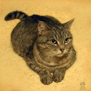 Эрмитажные коты - Hermicats