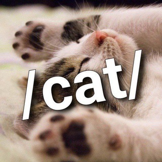 /cat/ ~ meow