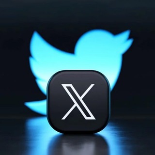 Twitter (𝕏) Media Downloader