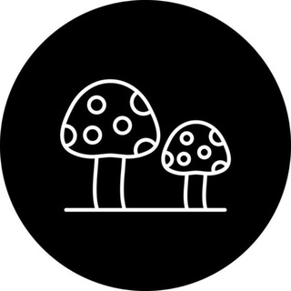 Грибной бот 🍄