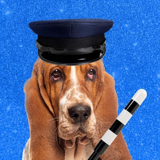 Синячий патруль