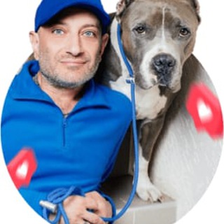 Онлайн школа Антуана Наджаряна