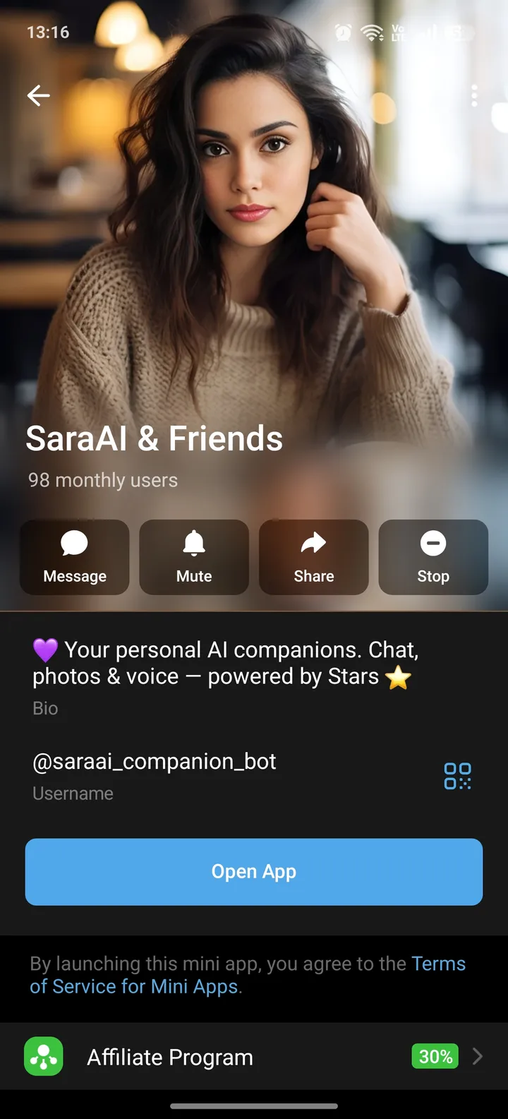 saraai_companion_bot