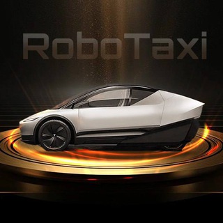 TheRoboTaxi