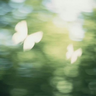 пиар чатов & реклама