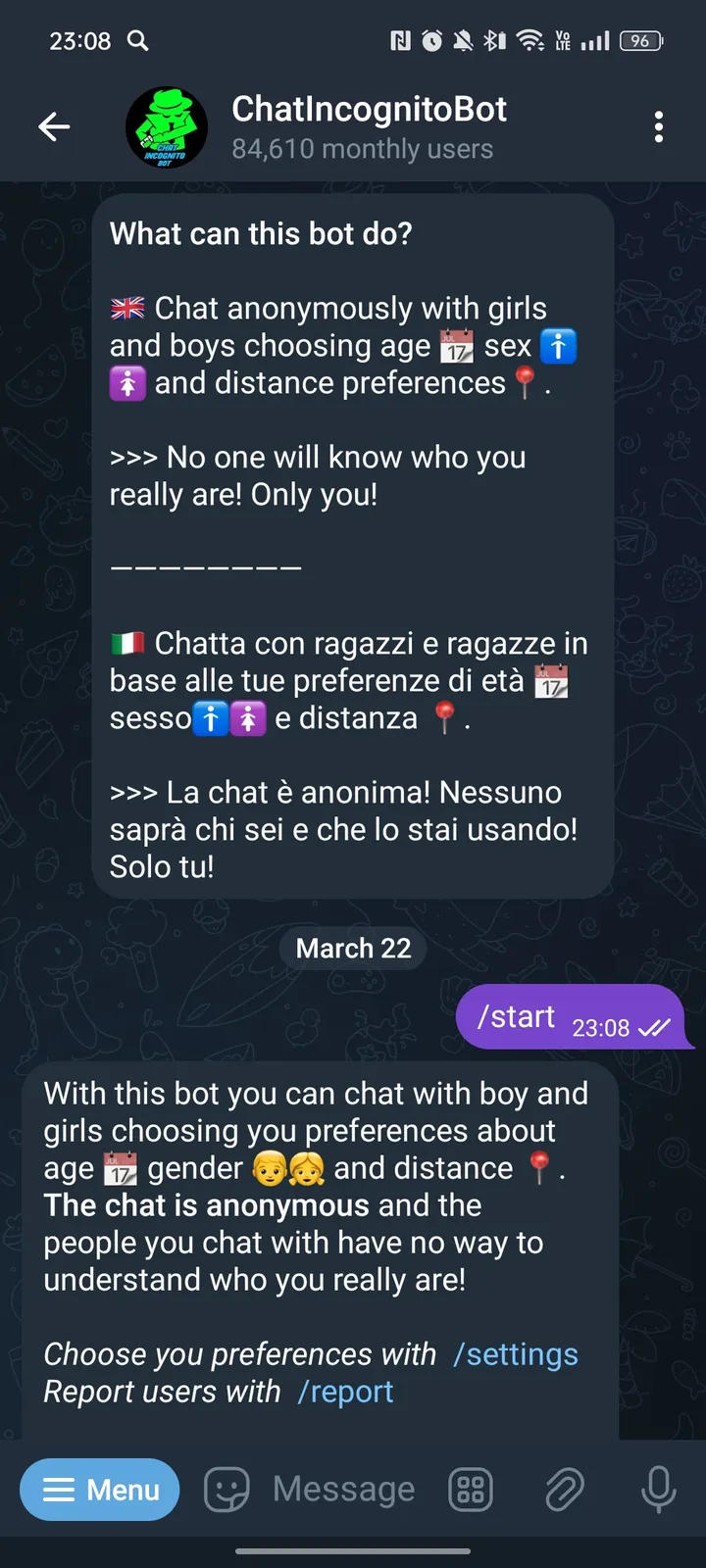 chatincognitobot