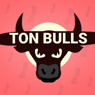 TON Bulls Game