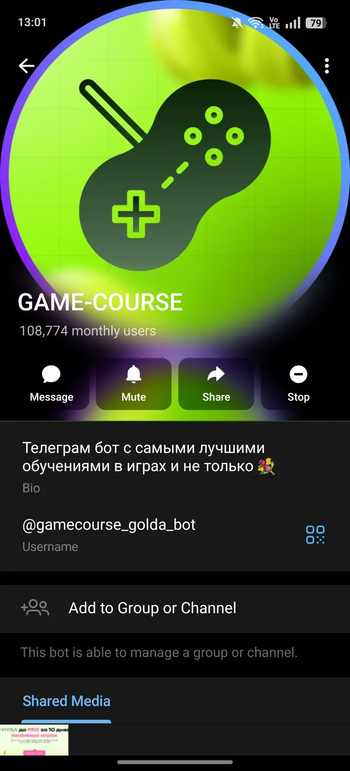 gamecourse_golda_bot