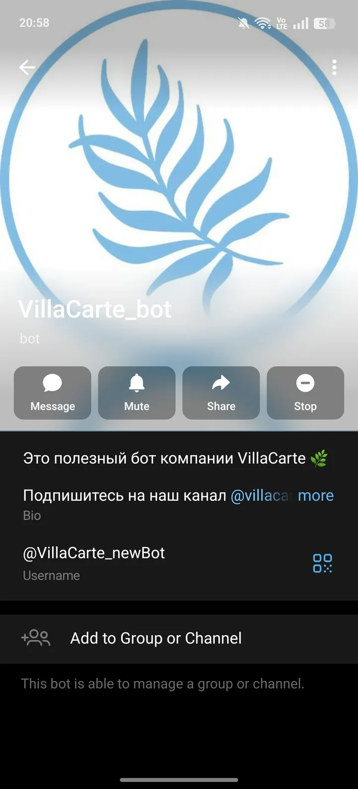 villacarte_newbot