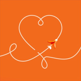 Euphora — Знакомства для путешественников