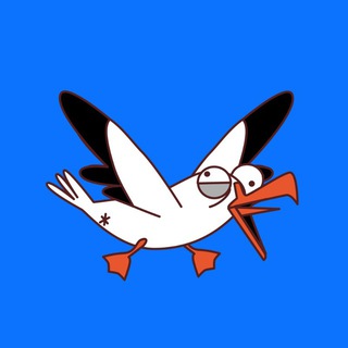 Пузошлёп Авиасейлс