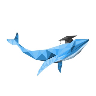 Бот ЗнатоКИТ