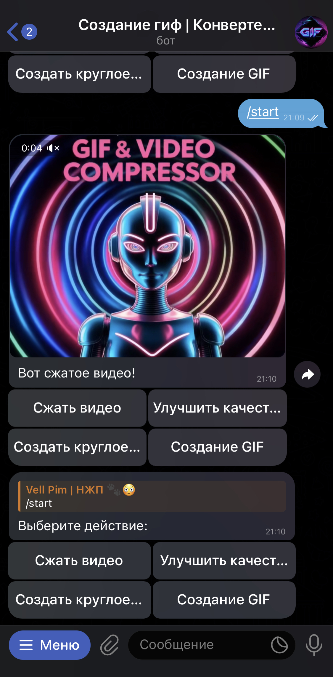 szhat_video_sozdat_gif_bot