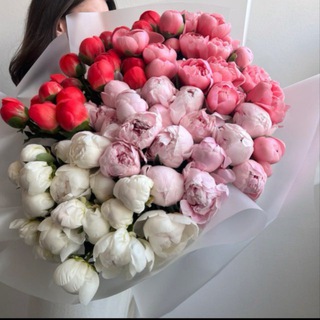 Цветы Москва 🌷 Доставка Цветов