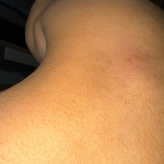 Алабай Гонки Стрим