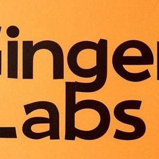 Ginger Labs