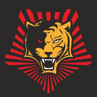 Воин DV (бот)