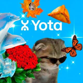 Поздравлятор