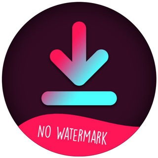 Скачать видео из Instagram | TikTok | YouTube