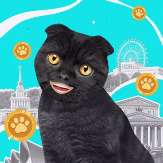 Москва 24 | Mini App