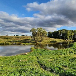 Фотопланета Бот